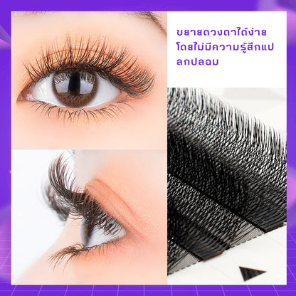 [Eyelash Artist] 5D False Eyelashes W Shape 5D Premium False Eyelashes 5DW Lashes 0.05 C D curl Eyelashes At the salon Soft eyelash shaft, non-irritating, professional