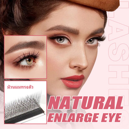 [Eyelash Artist] 5D False Eyelashes W Shape 5D Premium False Eyelashes 5DW Lashes 0.05 C D curl Eyelashes At the salon Soft eyelash shaft, non-irritating, professional