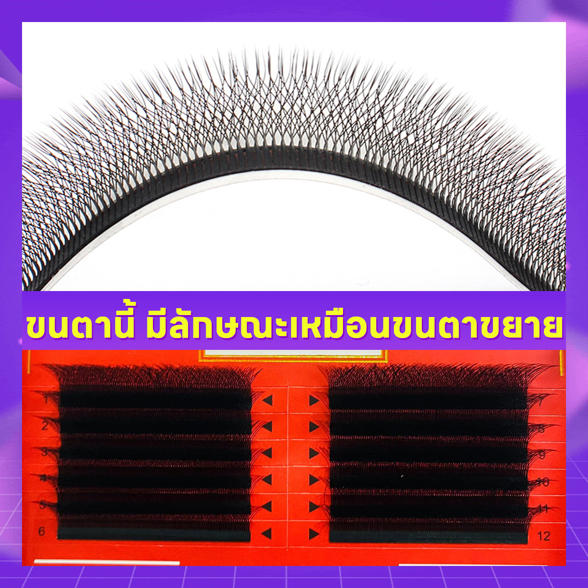 [Eyelash Artist] 5D False Eyelashes W Shape 5D Premium False Eyelashes 5DW Lashes 0.05 C D curl Eyelashes At the salon Soft eyelash shaft, non-irritating, professional