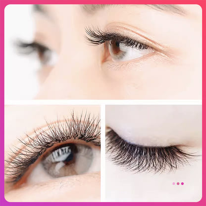 Eyelash DIY False Eyelashes False Eyelashes Bouquet Flower in One Second Eyelashes At Beauty Salon Thick Eyelashes Shipped from Thailand Thick Good Quality