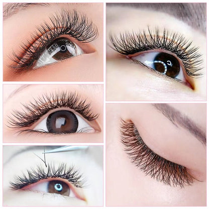 YY False Eyelashes Eyelash Extensions Soft Natural Ready to Ship False Eyelashes 0.07 CD Curl Net Makes Eyelashes Look Thick and Long False Eyelashes For Eyelash Extensions