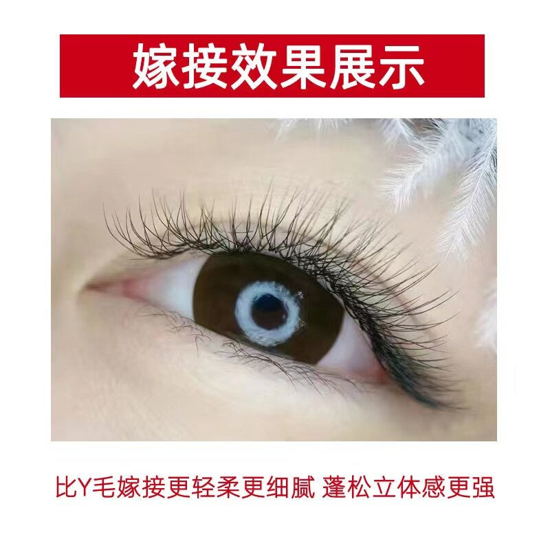 2D Two-leaf clover 0.03Y Grafted type air lashes knitted yy type natural clover super soft