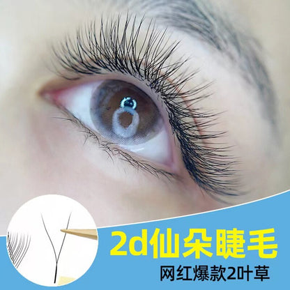 2D Two-leaf clover 0.03Y Grafted type air lashes knitted yy type natural clover super soft