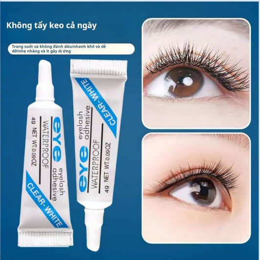 EYE False Eyelash Glue, fast drying, strong, warm, hypoallergenic, transparent, seamless, easy to apply eyelashes