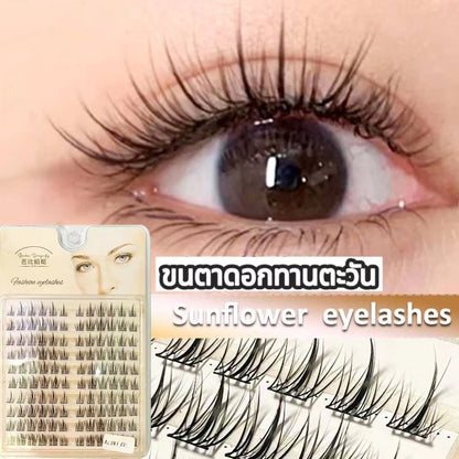 2024 For DIY Makeup False Eyelashes Natural Soft Reusable False Eyelashes Trilogy Little Devil False Eyelashes Natural Cluster Single