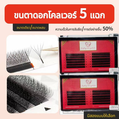 False Eyelashes W Shape 5D Premium False Eyelashes 5D W Shape Bouquet Eyelash Extensions