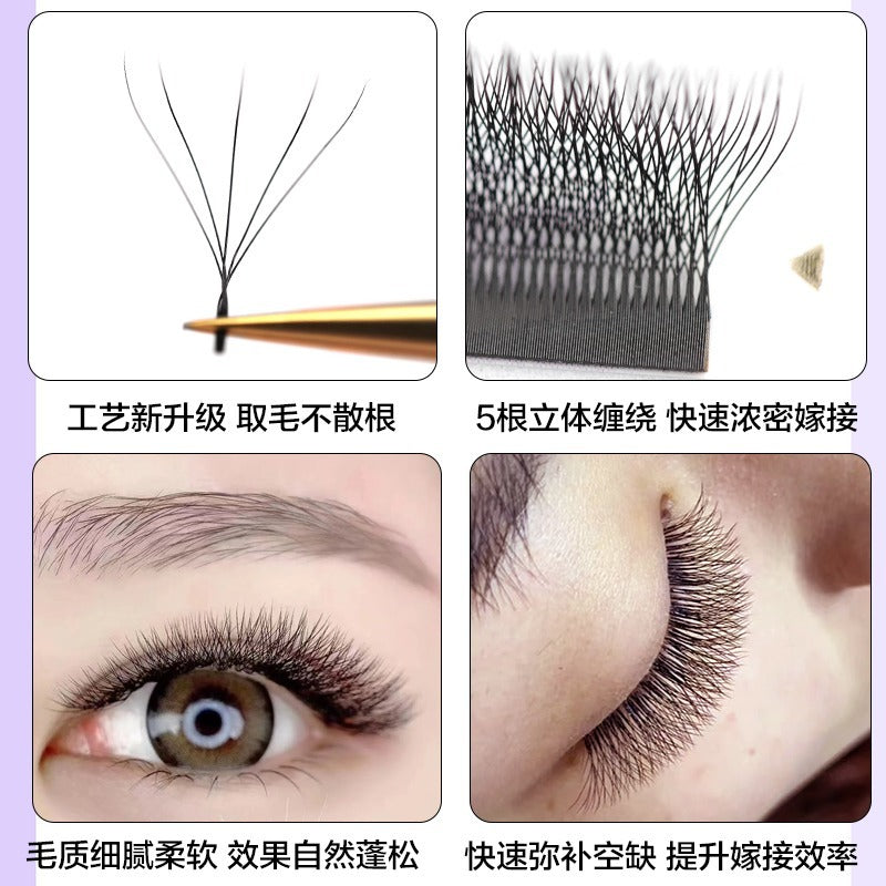 False Eyelashes W Shape 5D Premium False Eyelashes 5D W Shape Bouquet Eyelash Extensions