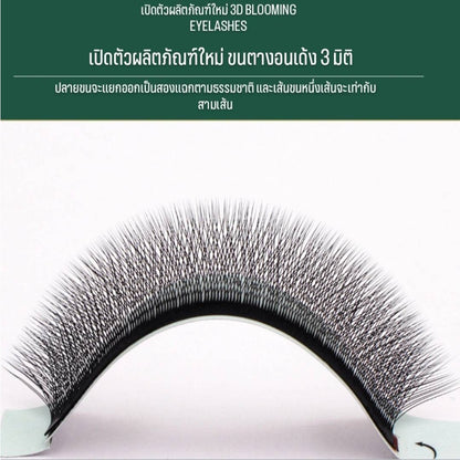 FiveStar 3D false eyelashes, soft hair, dense, automatic, W shape, W Shape false eyelashes, 3D mink hair, soft,