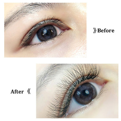 False Eyelashes W Shape 5D Premium False Eyelashes 5D W Shape Bouquet Eyelash Extensions