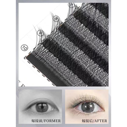 Clover Grafted Eyelashes, Extra Soft and Not Scattered, D-warp 0.05, One Second Bloom Type, yy Eyelashes, Special for the Eyelash Shop