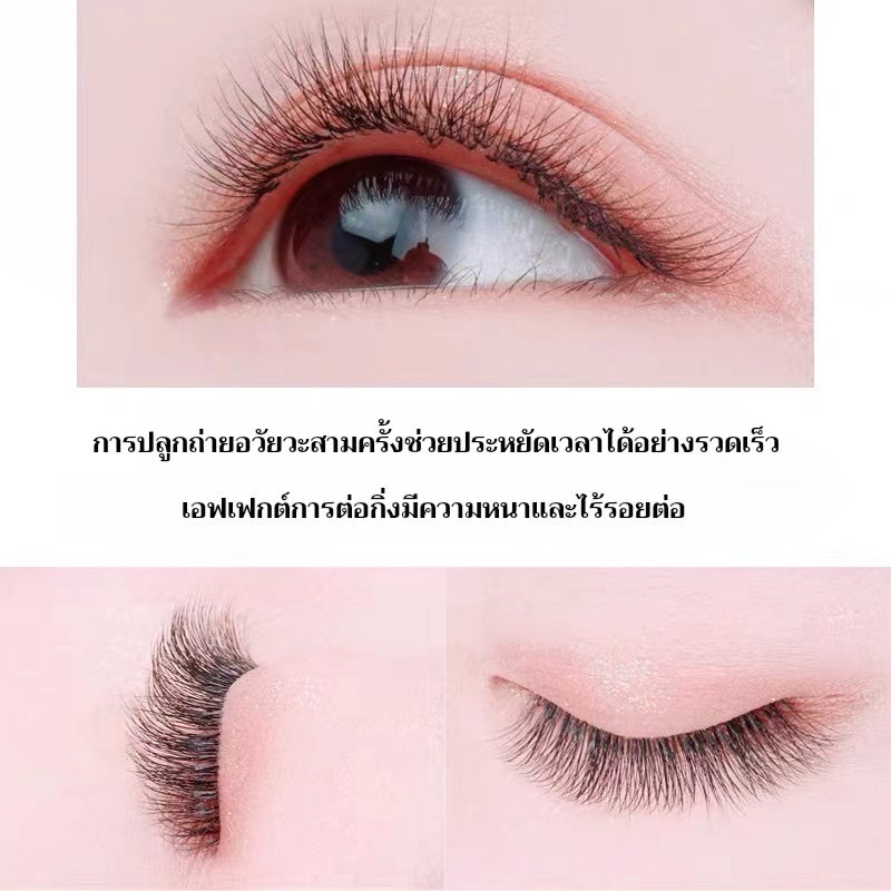 False eyelashes 10D 10-12 mm🇹🇭(Thai shop) False eyelashes 10P 0.1 C natural type