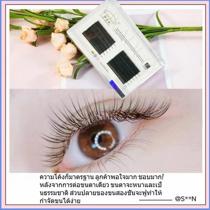 False eyelashes, special single eyelash salon C, baby curve, extra soft, air blown, flat hair, 2-layer grafted eyelashes, grafting false eyelashes, flat hair eyelashes