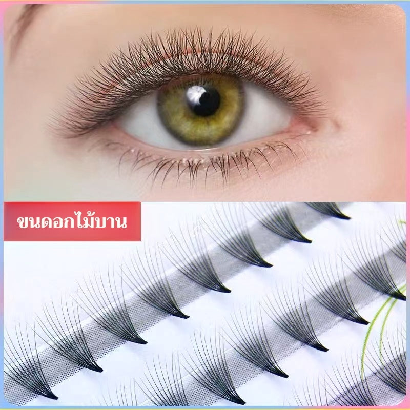 False eyelashes 10D 10-12 mm🇹🇭(Thai shop) False eyelashes 10P 0.1 C natural type